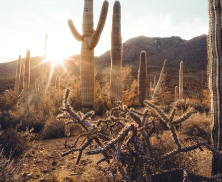 "The Persistent Challenges Shaping Arizona's Present and Future"arizona,challenges,present,future