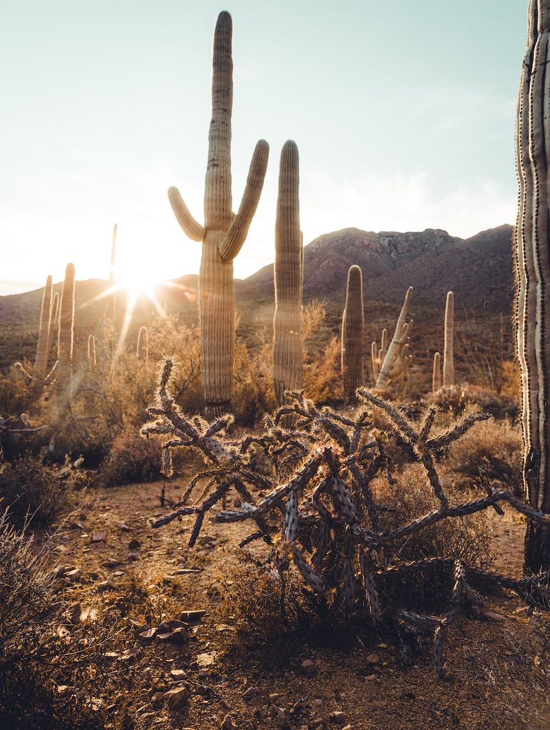 "The Persistent Challenges Shaping Arizona's Present and Future"arizona,challenges,present,future