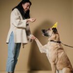 How to Put a Stop to Your Dog's Chewing Habits: Advice from Renowned Dog Trainer Ben Randalldogtraining,chewinghabits,dogbehavior,dogtrainer,BenRandall