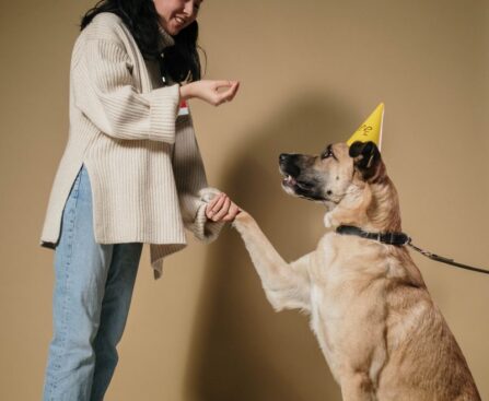 How to Put a Stop to Your Dog's Chewing Habits: Advice from Renowned Dog Trainer Ben Randalldogtraining,chewinghabits,dogbehavior,dogtrainer,BenRandall