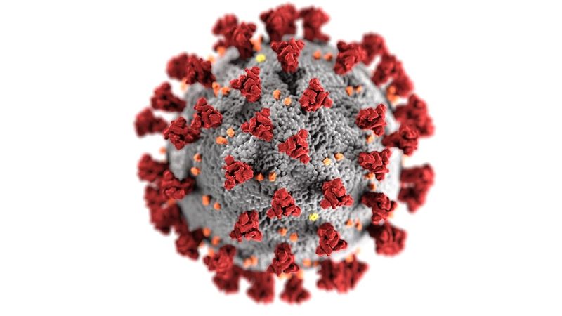 "WHO Raises Concerns as Eris Covid Variant Surges: A Closer Examination"covidvariant,eris,who,concerns,surges,examination