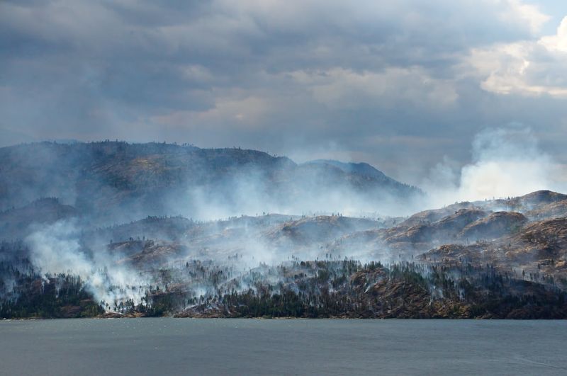 Victoria's bushfire crisis: Tourists and locals flee as wildfires claim six livesbushfirecrisis,Victoria,wildfires,tourists,locals,flee,sixlives