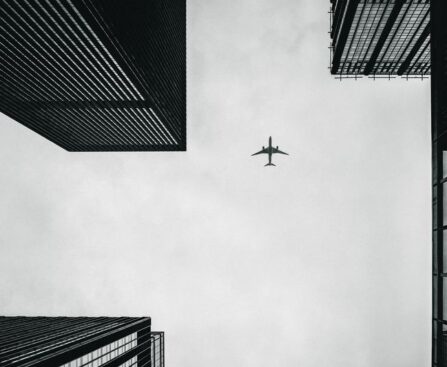 "Beneath the Wings: Qantas CEO Vanessa's Strategy to Soar Through Turbulence"qantas,ceo,strategy,turbulence,aviation