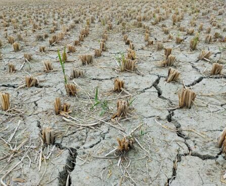 Scorching Times Ahead: Australia Braces for a Hot and Arid Springhotweather,aridclimate,Australia,spring,climatechange