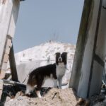 "Disaster Strikes: Devastating Magnitude-6.8 Earthquake Leaves Trail of Death and Destruction in ..."earthquake,naturaldisaster,magnitude6.8,devastation,death,destruction