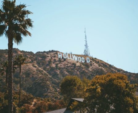 "Priscilla Presley: A Reflective Journey Through the Silver Screen"PriscillaPresley,ReflectiveJourney,SilverScreen