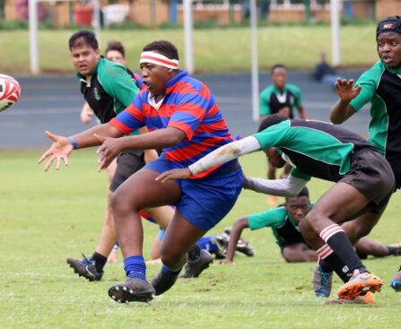 Domination Down Under: Ireland Crush Romania 82-8 in Pool B Openerrugby,Ireland,Romania,PoolB,domination,victory