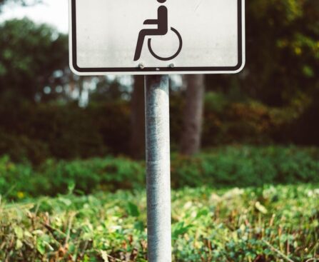 Barrier-Free Democracy: Accessibility Issues Plague Voice Referendum Early Voting for Wheelchair Userswordpress,accessibility,democracy,barrier-free,referendum,earlyvoting,wheelchairusers