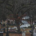 Stoneman Willie: The Long Journey Home - Pennsylvania Man's Burial After 128 Yearsburial,Pennsylvania,StonemanWillie,longjourneyhome