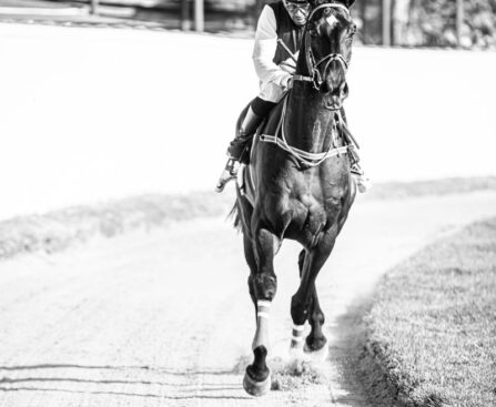 "Race Day Revival: Mild Spring Conditions Kickstart Caulfield Cup 2023"RaceDay,Revival,MildSpringConditions,CaulfieldCup2023