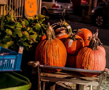 Bloomin' Blimey! Bonzer Bummer for U.S. Pumpkin Patches as Extreme Weather Wreaks Havocweather,extremeweather,pumpkinpatches,U.S.,havoc