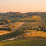 Vineyard Levantine Hill: Caught in the Crosshairs of an Opportunistic Credit Fundwordpress,vineyard,LevantineHill,creditfund,opportunistic,crosshairs