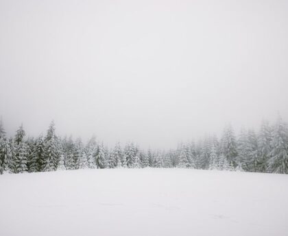 Flurries Forecasted During Halloween Haunting Hours: Witches, Ghouls, and Snowfall in Sight!Halloween,weather,forecast,flurries,witches,ghouls,snowfall